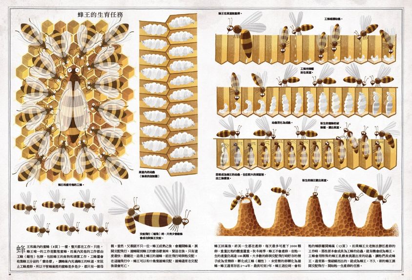 跨領域圖解百科《蜜蜂》＋《樹》：培養跨科整合自主學習力